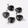 Natural Black Agate Pendants G-G956-B04-FF-1