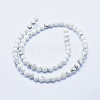 Natural Howlite Beads Strands X-G-P353-01-6mm-2