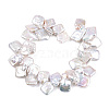 Baroque Natural Nucleated Pearl Keshi Pearl Beads Strands PEAR-S020-K10-2-6