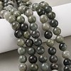 Natural Green Rutilated Quartz Beads Strands G-P325-03-10mm-5