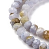 Natural Blue Lace Agate Beads Strands G-K380-A33-04-4