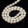 Grade AA Natural Cultured Freshwater Pearl Beads Strands PEAR-L001-A-11-3