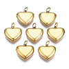 316 Surgical Stainless Steel Charms LS-STAS-N097-045-1