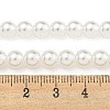 Glass Pearl Beads Strands HY-G002-01C-01-5