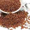 TOHO 8/0 Round Beads SEED-XTR08-1825-1