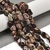 Natural Ocean Jasper Beads Strands G-P497-01E-76-2