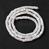 Natural Freshwater Shell Beads Strands BSHE-S304-08-2