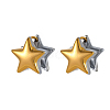 Two Tone 304 Stainless Steel Hoop Earrings STAS-OY016-81G-1