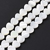 Natural Trochus Shell Beads Strands SSHEL-H070-06B-3