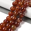 Natural Red Agate(Dyed & Heated) Beads Strands G-H087-A01-20MM-1