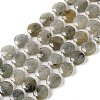 Natural Labradorite Bead Strands G-C116-A10-01-1