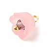 Transparent Acrylic Charms PALLOY-JF01603-02-4
