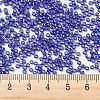 MIYUKI Round Rocailles Beads X-SEED-G007-RR1020-4