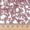 TOHO 6/0 Round Beads SEED-XTR06-0166B-4