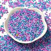 Baking Paint Glass Seed Beads SEED-P006-03A-19-2