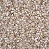 Glass Bugle Beads SEED-S032-09A-635-3