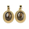 Natural Bronzite Oval Pendants G-B079-02G-02-1