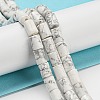 Natural Howlite Beads Strands G-Q1008-A07-4