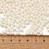 Baking Painted Glass Seed Beads SEED-C004-04G-4