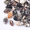 Spiral Shell Beads SSHEL-T008-23-1