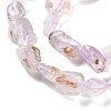 Natural Amethyst Beads Strands G-P497-01C-26-4