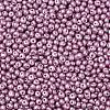 6/0 Glass Seed Beads X1-SEED-L011-08A-29-3