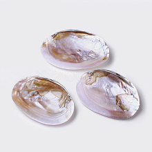 Natural Freshwater Pearl Shell Decoration SHEL-K002-01A