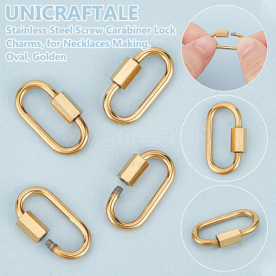 8Pcs 304 Stainless Steel Screw Carabiner Lock Charms STAS-UN0058-40G-1