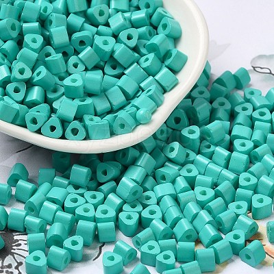Baking Paint Glass Bead SEED-H002-K-D304-1