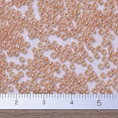 MIYUKI Round Rocailles Beads X-SEED-G007-RR0543-1