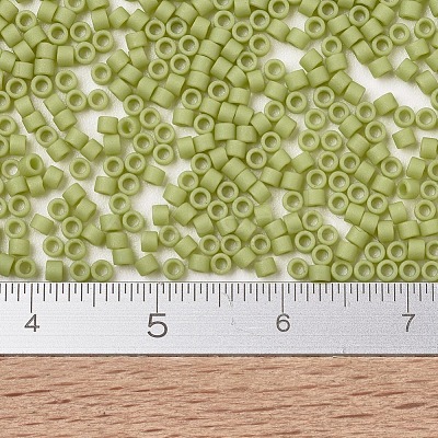 MIYUKI Delica Beads SEED-J020-DB2290-1