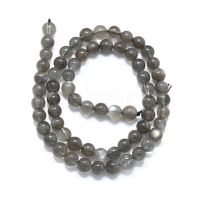 Natural Grey Moonstone Beads Strands G-K245-A05-02-1