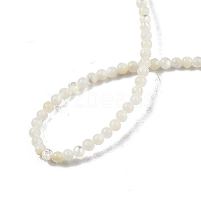 Natural White Shell Bead Strands X-SSHEL-N003-144A-01-1