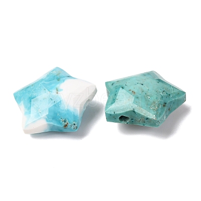 Natural Howlite Charms G-H241-04E-1