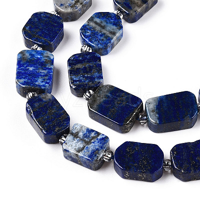 Natural Lapis Lazuli Beads Strands G-T138-14-1