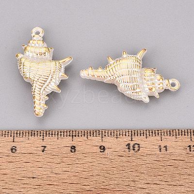 CCB Plastic Pendants PL-N007-12-1