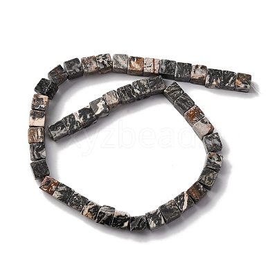 Natural Map Stone Beads Strands X-G-T139-8x8-45A-1