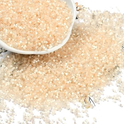 Imitation Cat Eyes Glass Seed Beads SEED-H003-03R-1
