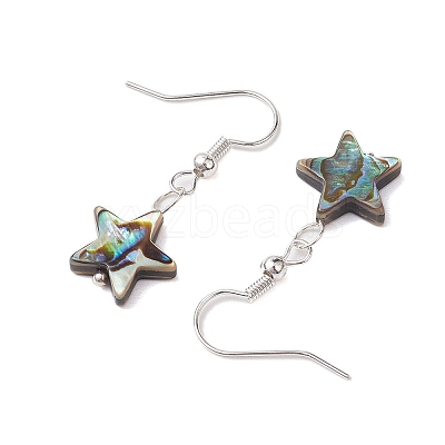 Natural Abalone Shell/Paua Shell Dangle Earring EJEW-JE05915-1