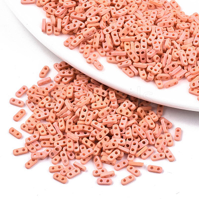 FGB 2-Hole Glass Seed Beads SEED-S031-S-SQ50FR-1