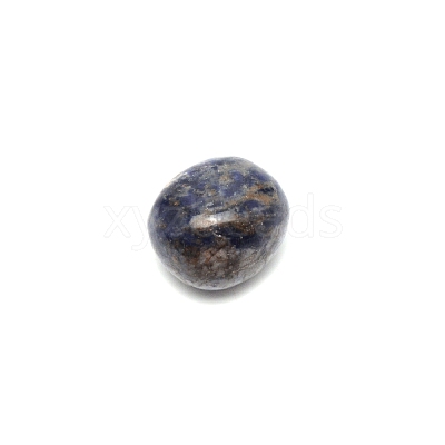 Natural Sodalite Beads G-WH0008-20-1