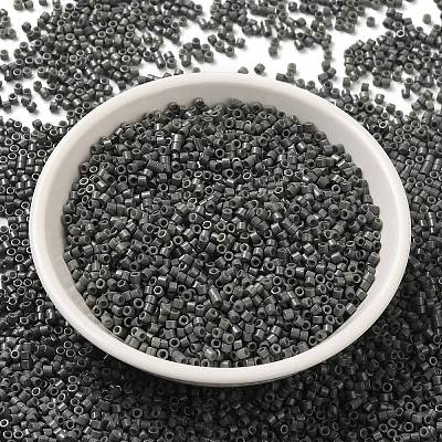 Baking Paint Glass Seed Beads X-SEED-S042-05B-42-1
