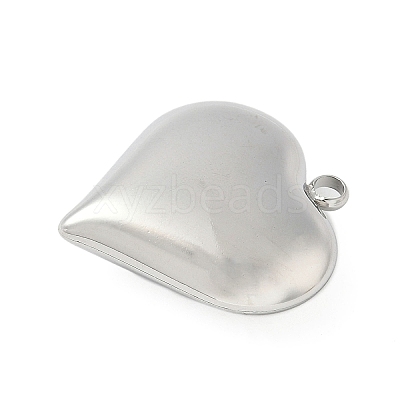 304 Stainless Steel Pendants STAS-S186-06B-P-1