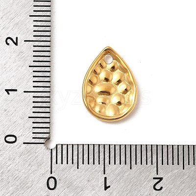304 Stainless Steel Charms STAS-Z157-15G-1