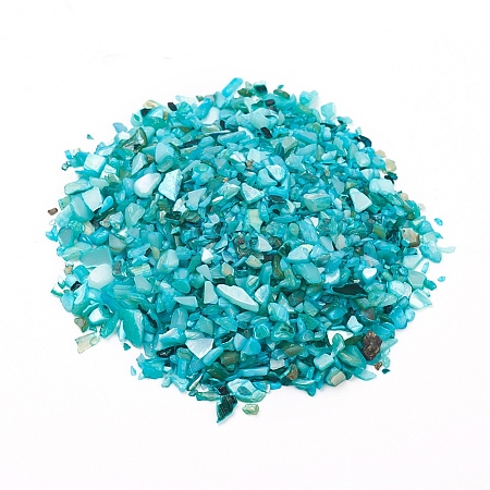 Natural Freshwater Shell Beads LS-X-BSHE-I011-03B-1
