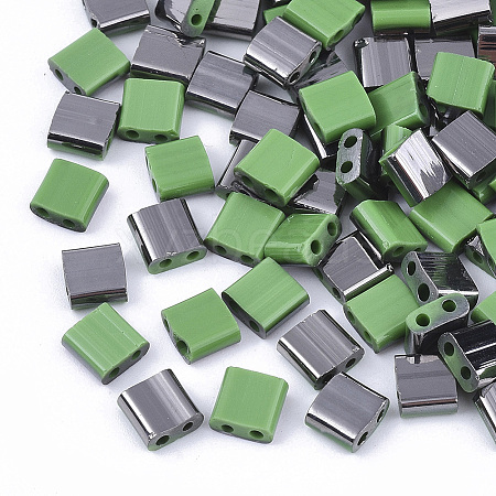 FGB 2-Hole Glass Seed Beads LS-X-SEED-S031-L-047-H-1