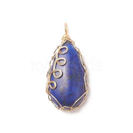 Natural Lapis Lazuli Copper Wire Wrapped Pendants PALLOY-JF02016-01-1