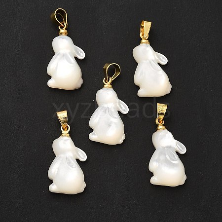 Natural White Shell Pendants SHEL-G014-13A-1