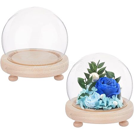  2 Sets High Borosilicate Glass Dome Cover DJEW-NB0001-18-1