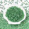 6/0 Baking Paint Transparent Fringe Glass Seed Beads X1-SEED-N006-06K-2